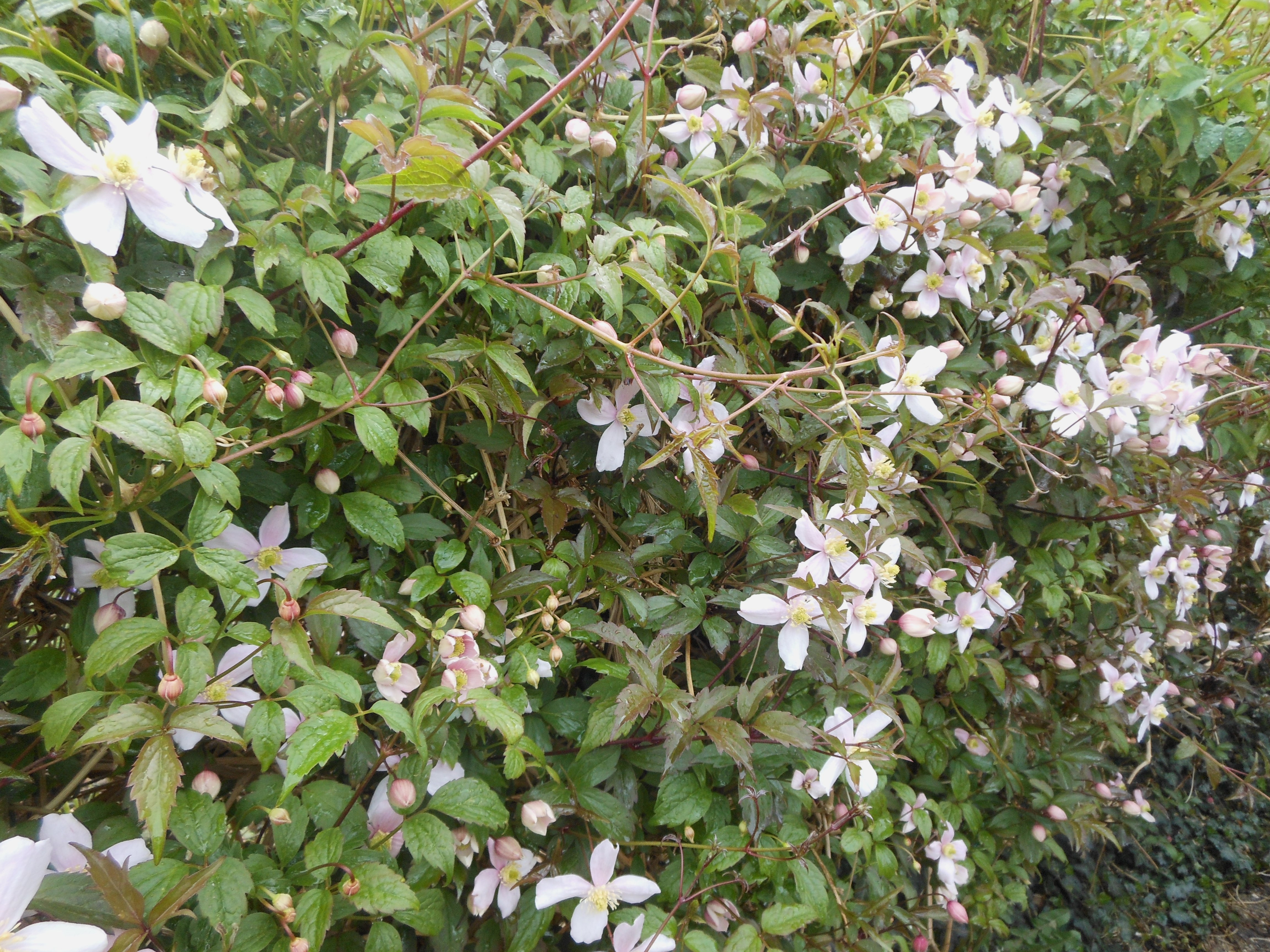 Blog/April 20 Blog pic 13